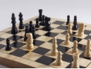 Регионален турнир по табла и шах в Дряново