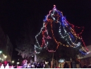 Светлините на Коледната елха грейнаха в Дряново снощи