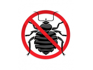 Първа планова дезакаризация на територитята на град Дряново